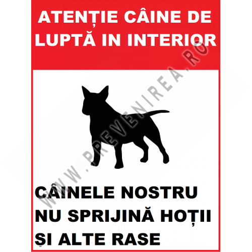 Placuta atentie caine de lupta in interior