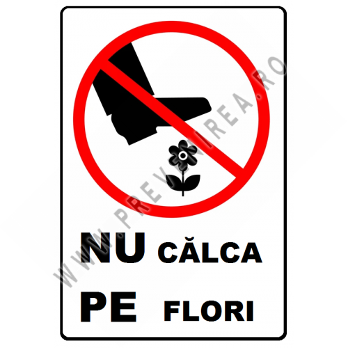Placuta nu calca pe flori
