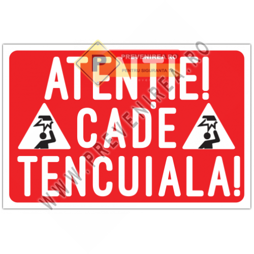 Indicator Atenție Cade Tencuiala” pentru Zone cu Risc Indicator Atenție Cade Tencuiala” pentru Zone cu Risc