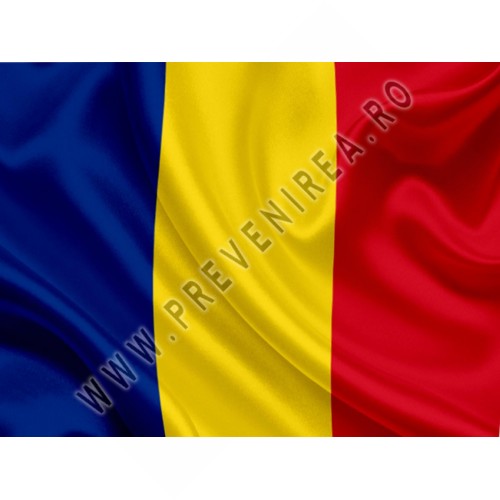 Steag România Steag România