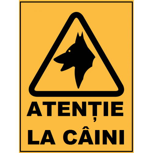 Placuta atentie la caine Placuta atentie la caine