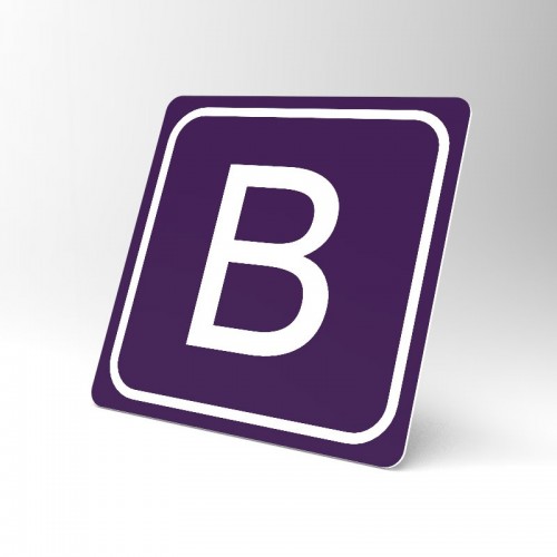 Placuta B violet Placuta B violet