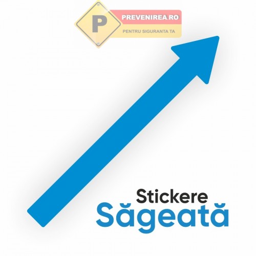 Sageti albastre pentru siguranta Sageti albastre pentru siguranta